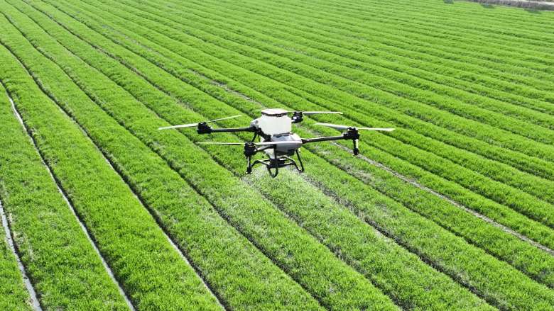 Drone ψεκασμού γεωργίας ακριβείας πάνω από καλλιέργεια